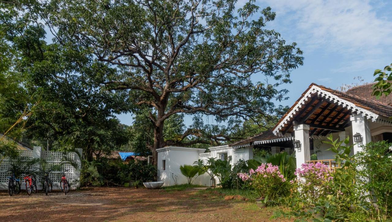The Island Sanctuary - A Village Secret Chorao Εξωτερικό φωτογραφία